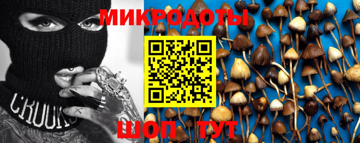 Чапаевск  где купить наркоту  Вход с VPN  Галлюциногенные грибы MAGIC MUSHROOMS 