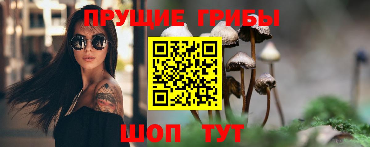 Галлюциногенные грибы ЛСД Чапаевск